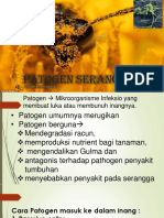 6. Patogen serangga