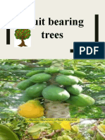 Fruit Bearing Trees