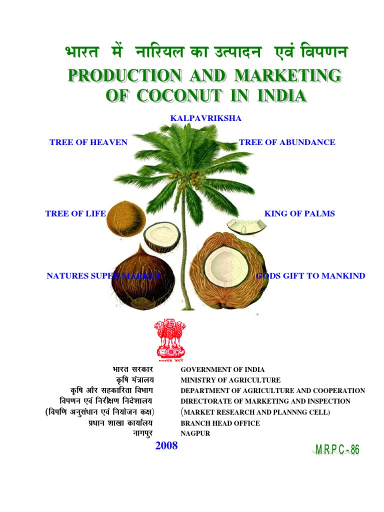 Production Coconut Coconut Coconut Oil