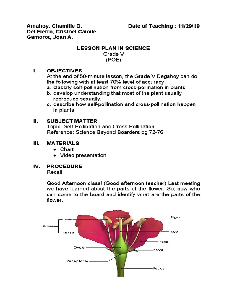 Grade 5 Lesson Plan: Pollination Types | PDF | Flowers | Pollination