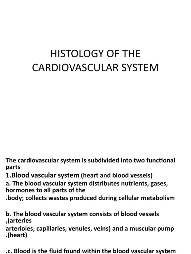 Cardiovascular System Histology Overview | PDF | Artery | Heart