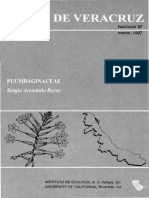 Avendaño Reyes - 1997 - Plumbaginaceae