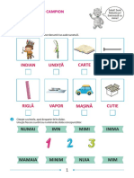 8 - Un Ied Campion - Literele I Și I