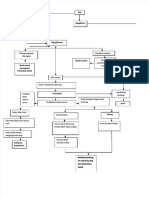PDF Pathway Gastropati DM Compress