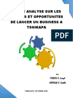 Petite Analyse Des Risques Et Opportunites de Lancer Un Business A Tshikapa PDF