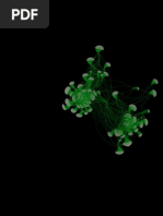 Download Facebook Networks httpzoomit55I5 by HarryGoltermann SN55716125 doc pdf