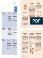 SAP Dan Leaflet Kejang Demam