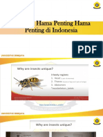 Serangga Hama Penting Hama Penting Di Indonesia