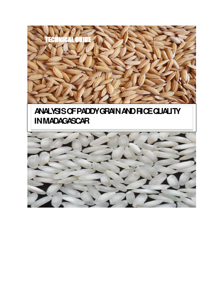 Paddy Grain Quality Analysis in Madagascar | PDF | Rice | Crops