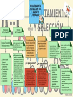 Mapa Conceptual Reclutamiento y Seleccion Del Talento Humano