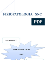 Fiziopatologia SNC 2