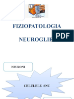 Fiziopatologia_SNC_2-34132