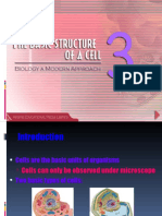 Cells: A Comparison of Plant and Animal Cells