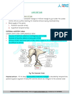 LMR Ent Ear: Embroyology and Anatomy of Ear