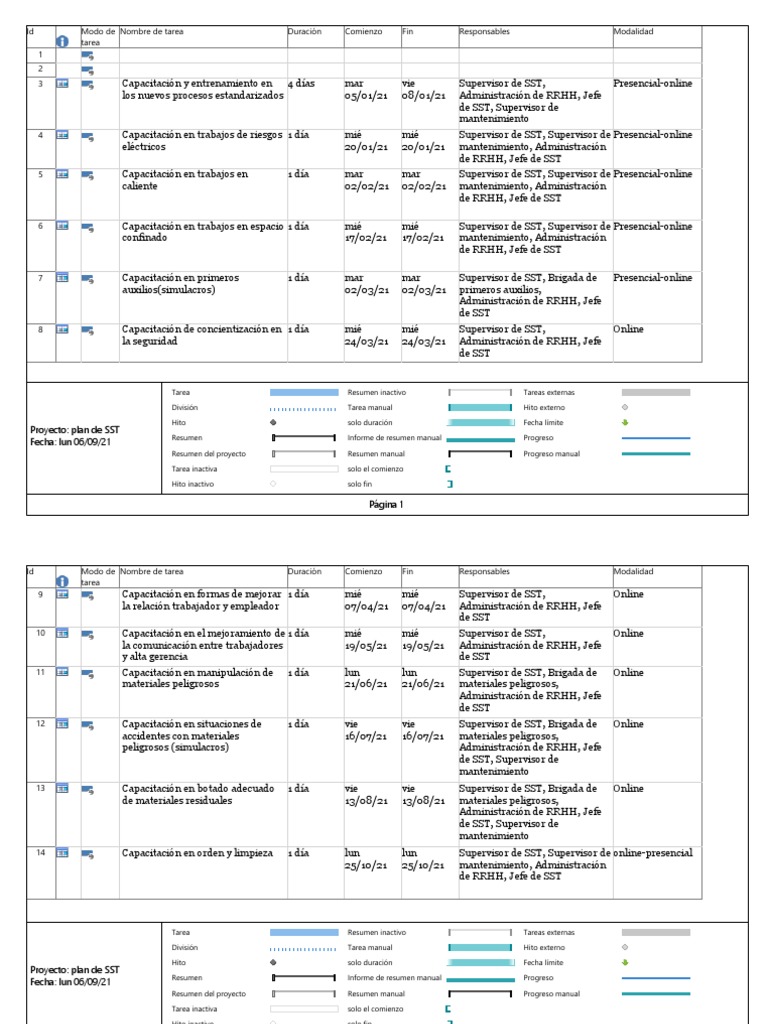 Plan de SST | PDF