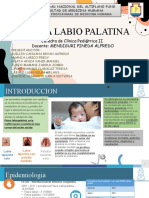 Factores de riesgo y epidemiología de fisura labiopalatina