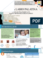 Fisura Labio-Palatina (Dr. Mendiguri) Grupo 4