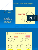 nueva Acidos Nucleicos