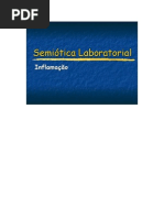 (aula)TP_3_a_Inflamacao_Cor