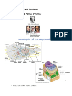 27 - Protein Trafficking - Nuclear Transport