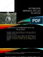 Nutricion Mineral en La Planta