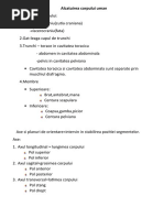 Nervii,diencefal,emisferele cerebrale