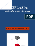 Neoplasia:: Molecular Basis of Cancer