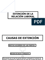 Extincion - Del - Contrato Del Despido Objetivo (Tema 21)