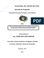 Plan Manejo Integrado para Una Gestion Sostenible de La Sub Cuenca Rio Ichu