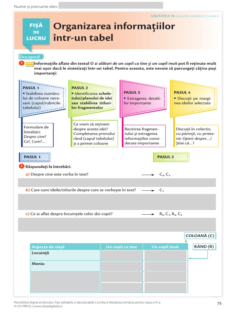 Organizarea Informațiilor Într-Un Tabel | PDF