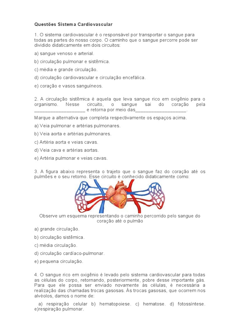 Questões Sistema Cardiovascular | PDF | Sistema circulatório | Veia