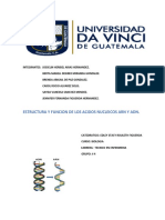 Trabajo de Estructura ADN Y ARN