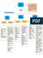 Mapa Conceptual