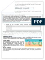 Circulación en organismos: transporte de nutrientes