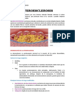 Ateroesclerosis: Factores de Riesgo y Patogenia