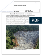 28.07.2020 O arco do desmatamento da Amazônia