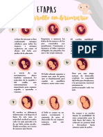 Desarrollo Embrionario