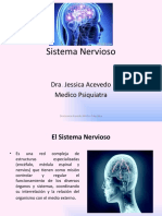 Sistema Nervioso Dra Jessica Acevedo (1) - 2