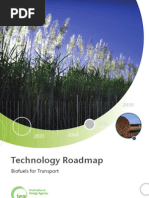 Download  IEA Biofuels Roadmap by Eric Britton World Streets SN55730121 doc pdf