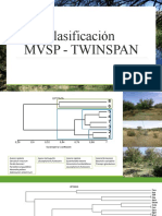 Clasificación MVSP - Twinspan