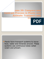 Lesson 20: Compare and Contrast Process in Plants and Animals: Transport and Circulation