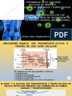 Conferencia #4 Tema 4 Fisiologia I 2021