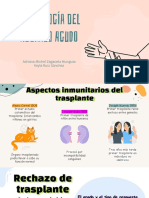 Inmunología Exposición - Rechazo Agudo