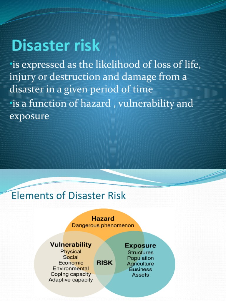 Understanding Disaster Risk Factors | PDF