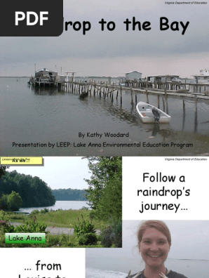 Raindrop to Bay