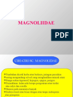 1. magnoliidae