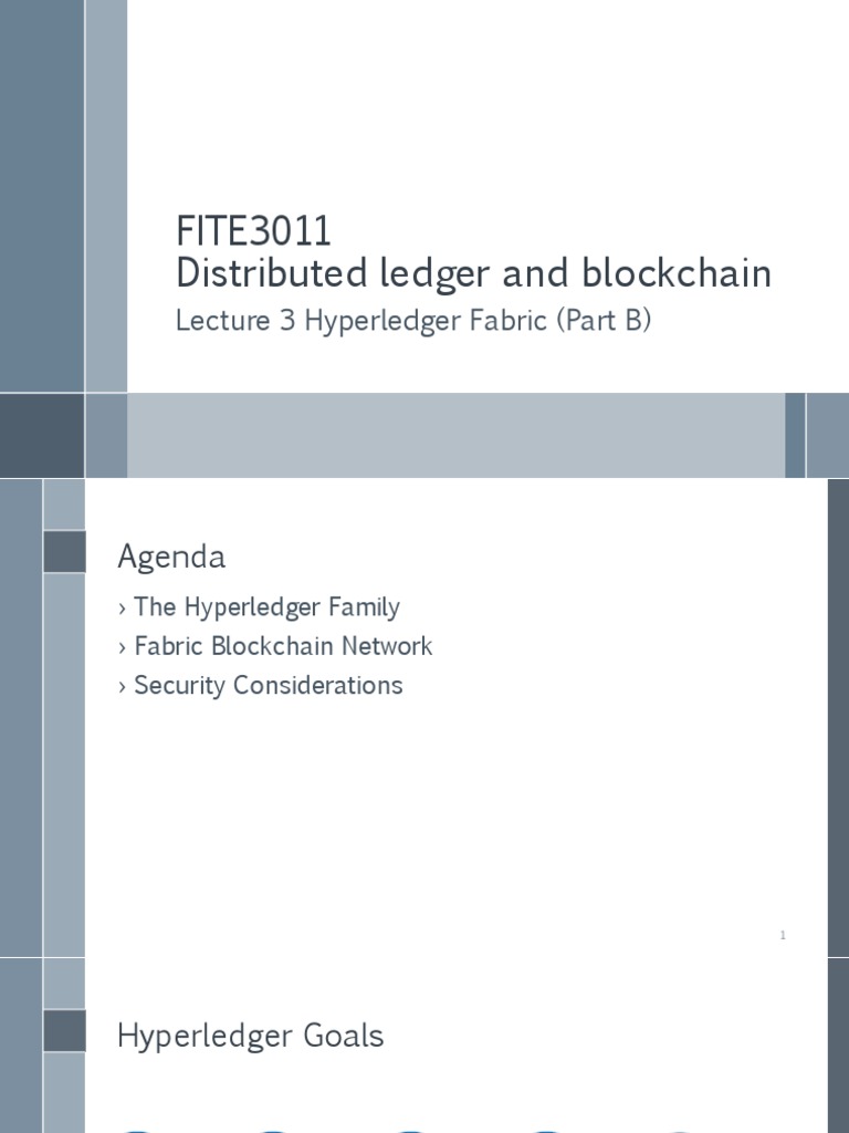 Hyperledger Fabric Security and Governance | PDF | Peer To Peer ...