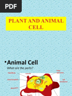 7es Lesson Plan Template PDF | PDF | Teaching | Pedagogy
