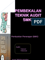 Internal Audits Mk 3
