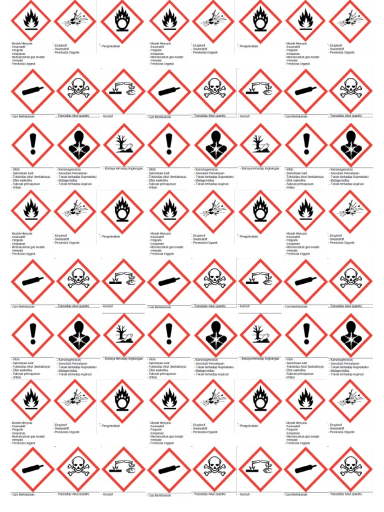 Form-009-Label & Simbol GHS | PDF